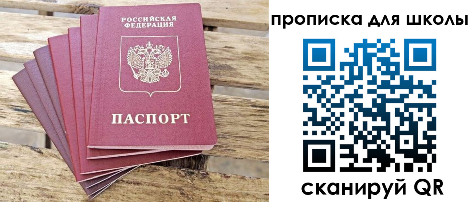временная регистрация поиск в Ростове-на-Дону